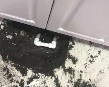 阳东查漏水哪家好